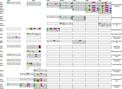 Heavy and Light Mineral Association of Late Quaternary Permafrost Deposits in Northeastern Siberia
